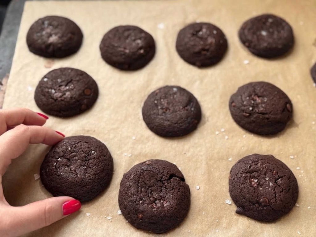 עוגיות דאבל-שוקולד