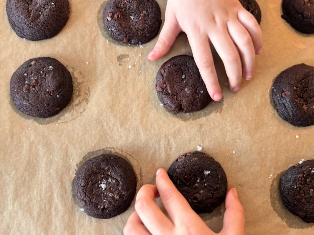 עוגיות שוקולד